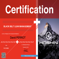 Black Belt Lean Management — Hoshin Partners