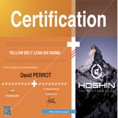 Yellow Belt Lean Six Sigma — Hoshin Partners